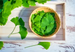 Les plantes qui luttent contre les cancers